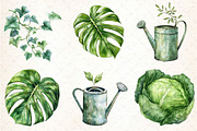 Watercolor Green Garden Clipart, an Illustration by DreamCafeArt (Thumbnail 4 of 7)