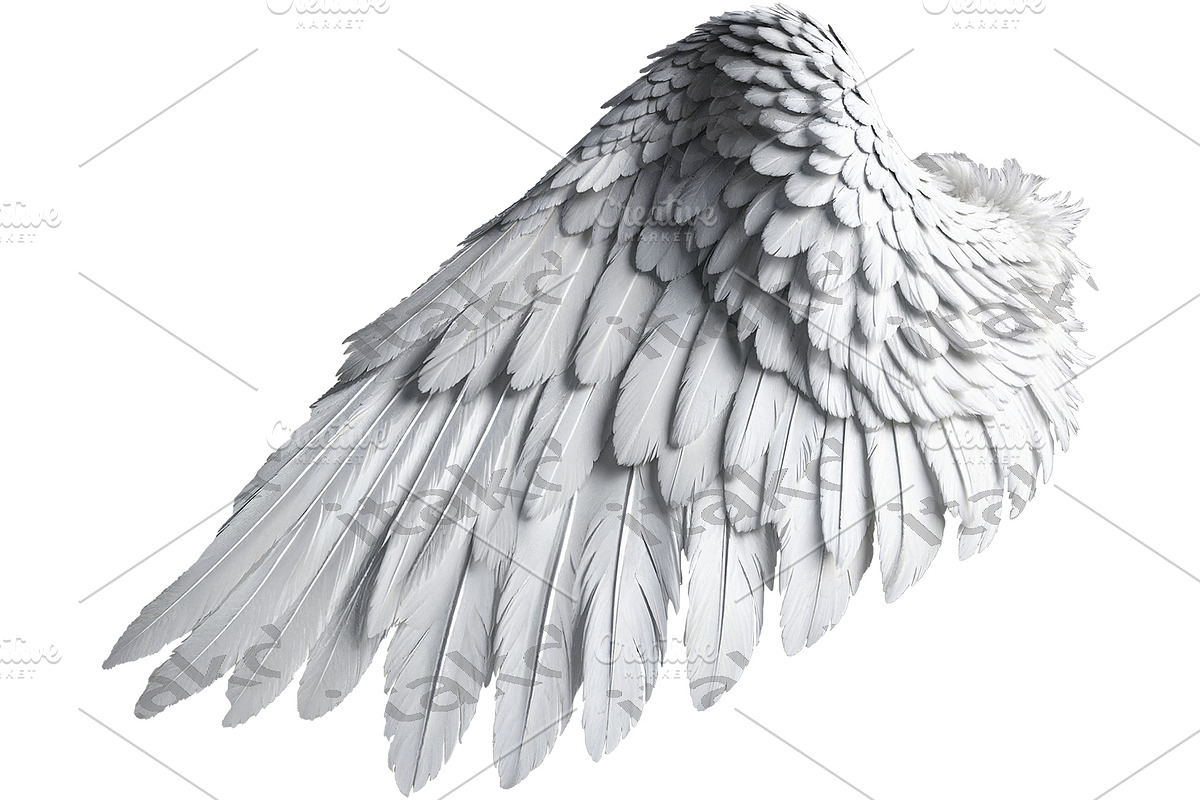 set of photorealistic angel wings, an Object Graphic by itakdalee (Photo 5 of 11)