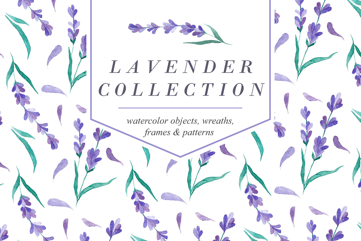 Watecolor Lavender Clip Art Set, an Illustration by Yashroom (Photo 1 of 7)