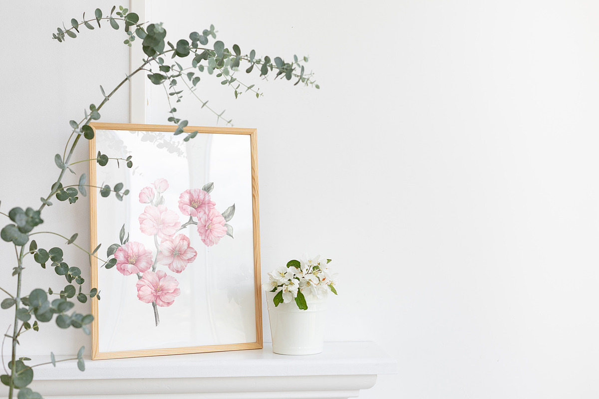 Sakura cherry blossom watercolor PNG, an Illustration by Kotkoa (Photo 3 of 8)