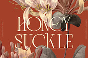 Lunoriels – Classic Serif Font, a Serif Font by Invasi Studio (Thumbnail 5 of 13)