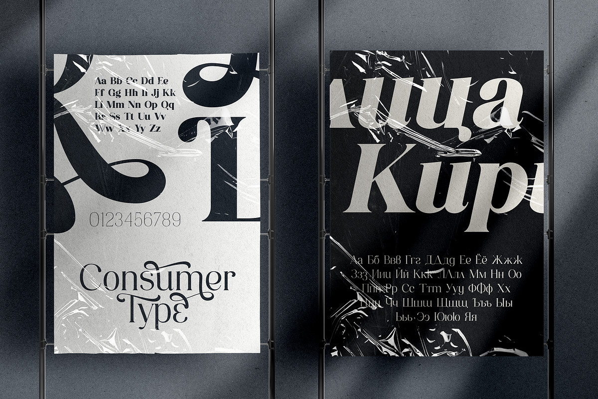 Consumer Type - elegant font family, a Serif Font by VP Fonts (Photo 10 of 18)