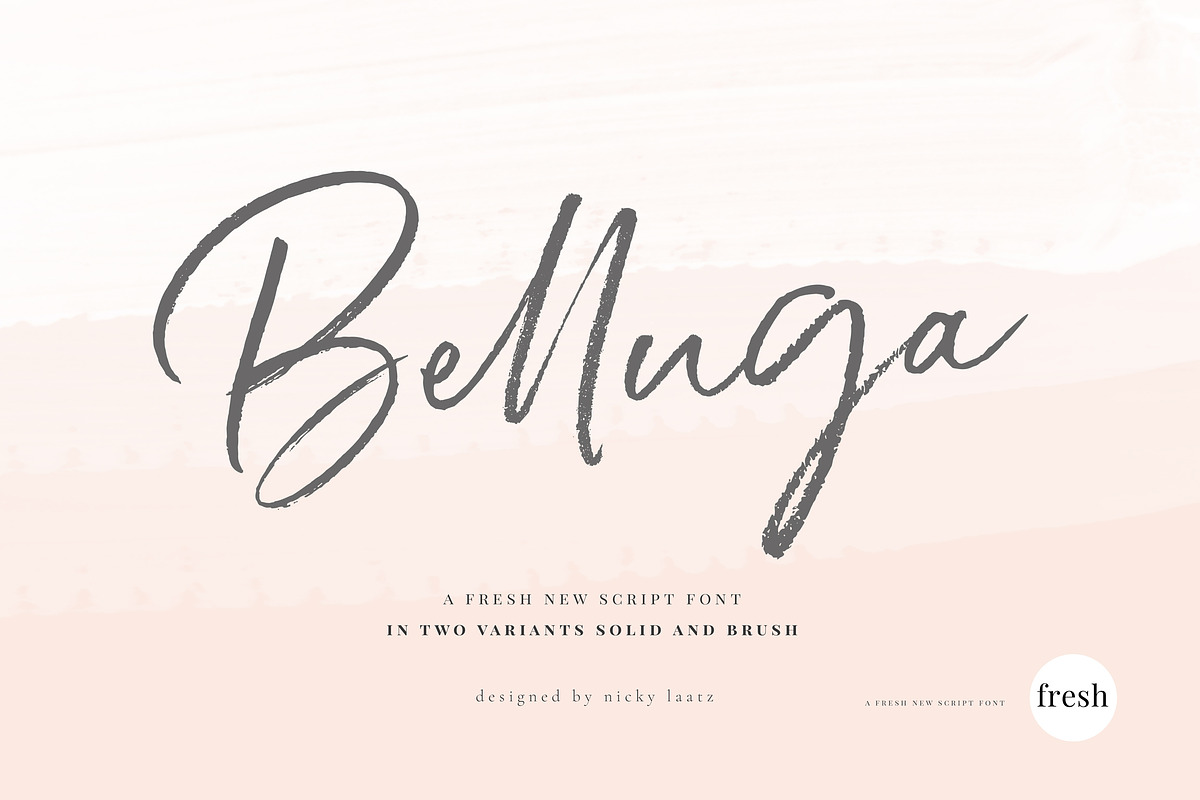 Belluga Brush Rough & Smooth