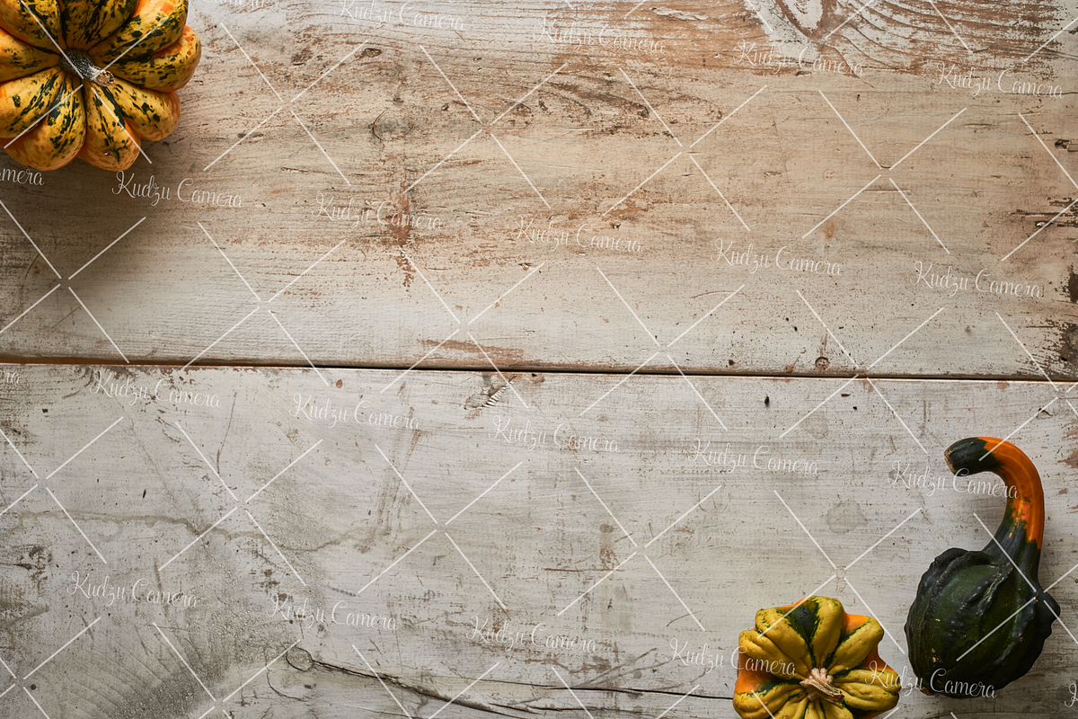 Ghostly Cabin Antique Wood Photo Set, a Books & Magazine Mockup by Kudzu Camera (Photo 4 of 7)