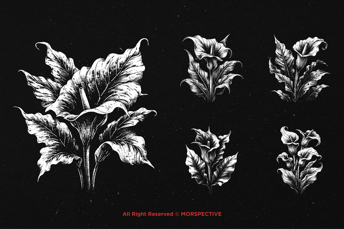 10 Bundle Dark Art Aglonema Botani, an Illustration by Morspective (Photo 3 of 7)