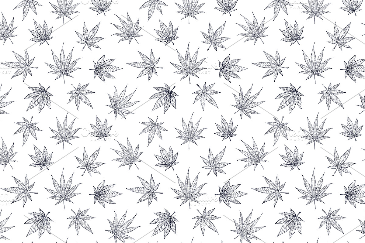 Weed. Stoner gadgets & accessories, a Healthcare Illustration by Margo Miller (Photo 8 of 45)