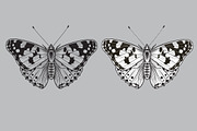 Monochrome Painted Lady Butterfly, a Decorative Illustration by Valentyna Smordova (Thumbnail 2 of 2)