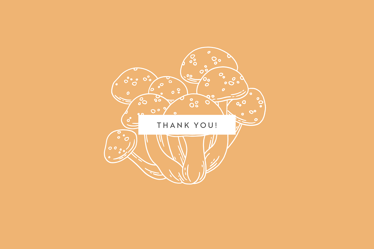 Toadstools Vector Illustrations, a Decorative Illustration by Emma Webb Studio (Photo 7 of 7)