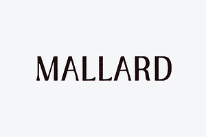 MALLARD FONT