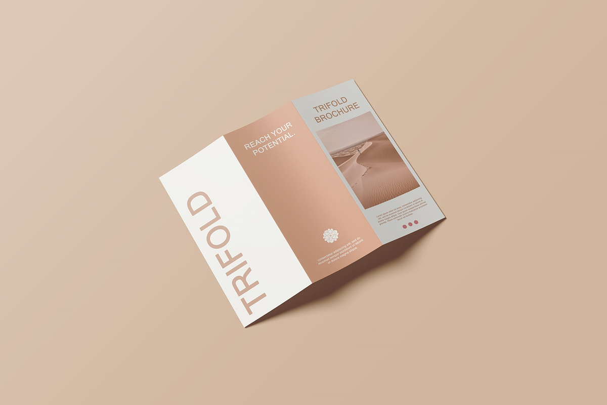 Trifold Brochure Mockup, a Books & Magazine Mockup by Lxadesign (Photo 3 of 18)