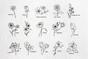 Flowers, an Illustration by AMMi (Thumbnail 2 of 5)