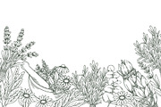 Aromatherapy. Medicinal herbs, a Healthcare Illustration by made by Tanya (Thumbnail 6 of 6)