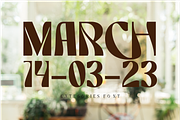 Categories Elegant Font, a Sans Serif Font by 177Studio (Thumbnail 4 of 8)