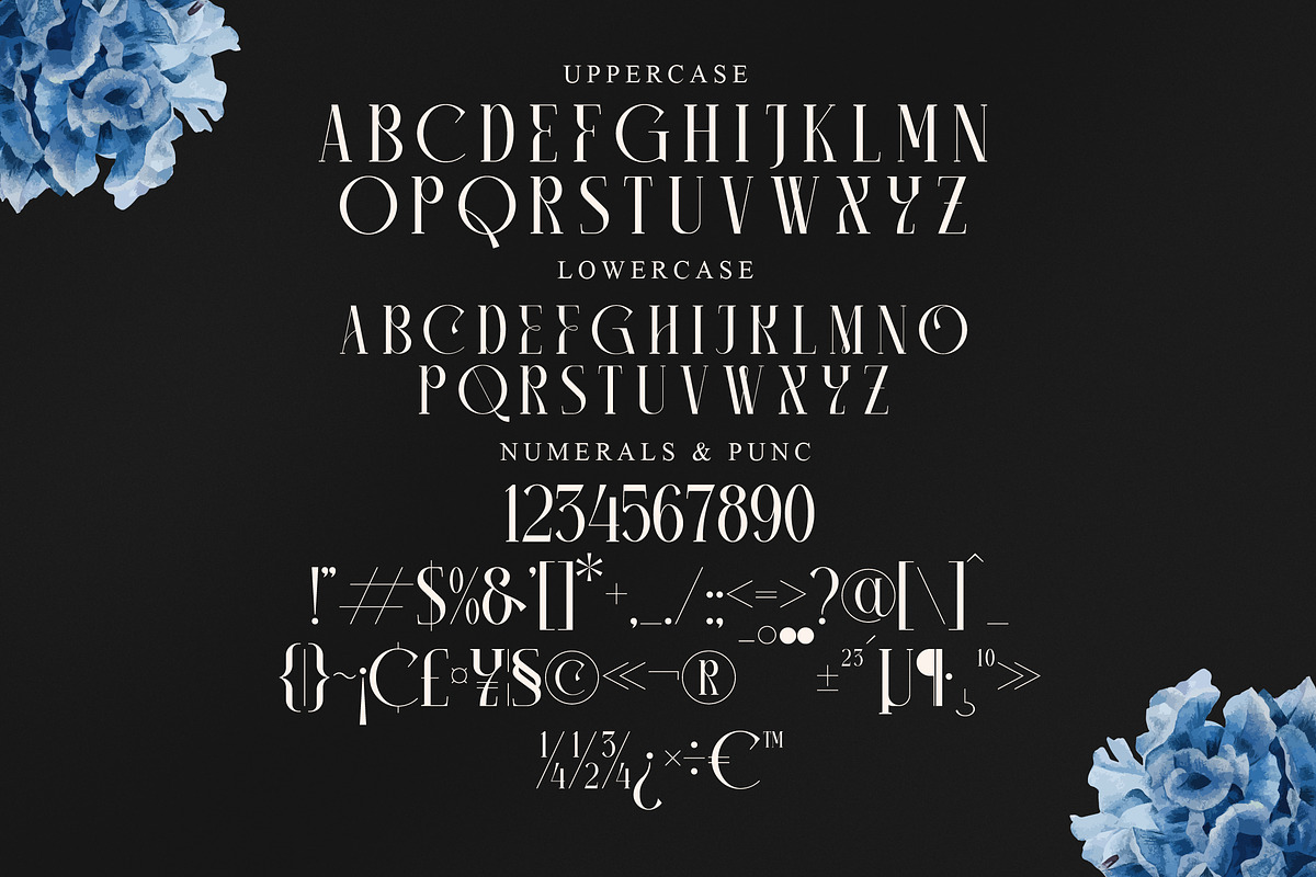 Camaroon Megalord Serif Display Font, a Serif Font by Storytype Studio (Photo 13 of 15)
