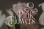 Healing Elegant Serif Typeface Font, a Serif Font by Dylla_studio (Thumbnail 2 of 15)