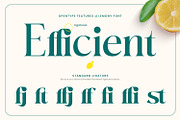 Lemony, a Serif Font by din-studio.com (Thumbnail 3 of 4)