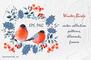 Winter Birds. Vector collection, a Decorative Illustration by Colibri Watercolor (Thumbnail 2 of 9)