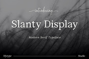 Serif & Sans Serif Font Bundle, a Sans Serif Font by Mytype Studio (Thumbnail 3 of 22)