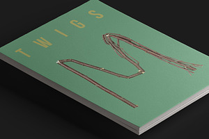 Twigs Font