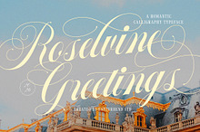 Roselvine Greetings Romantic Script