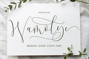 Wamoly - Luxury Script, a Script Font by tebaltipislab