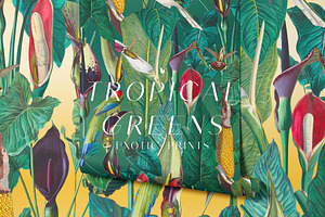 Exotic Tropical Patterns & Motifs