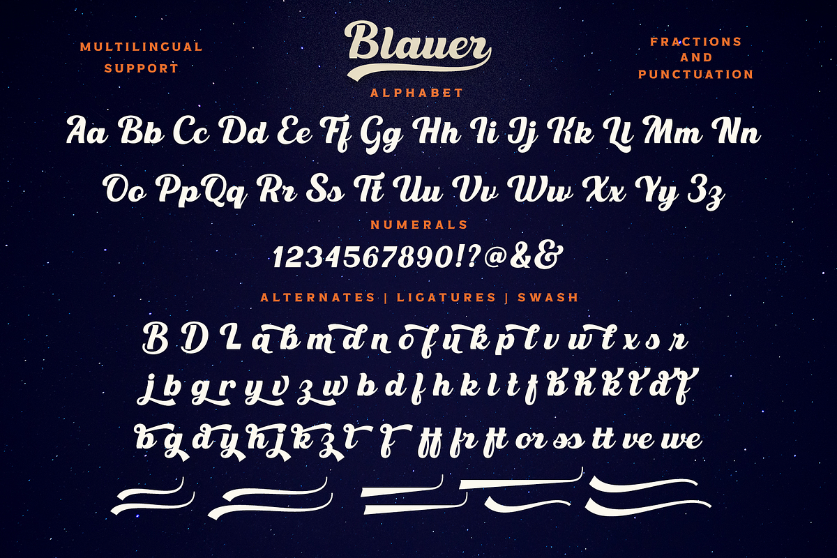 Blauer, a Script Font by Larin Type Co. (Photo 10 of 10)
