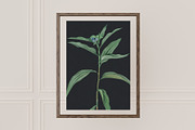 VINTAGE FLOWERS Vol.2 Watercolor Png, an Object Graphic by Oksana Trygub (Thumbnail 8 of 9)