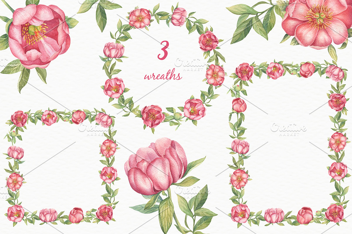 Pink Peonies - Watercolor Set, a Decorative Illustration by Irina Diasli (Photo 5 of 8)