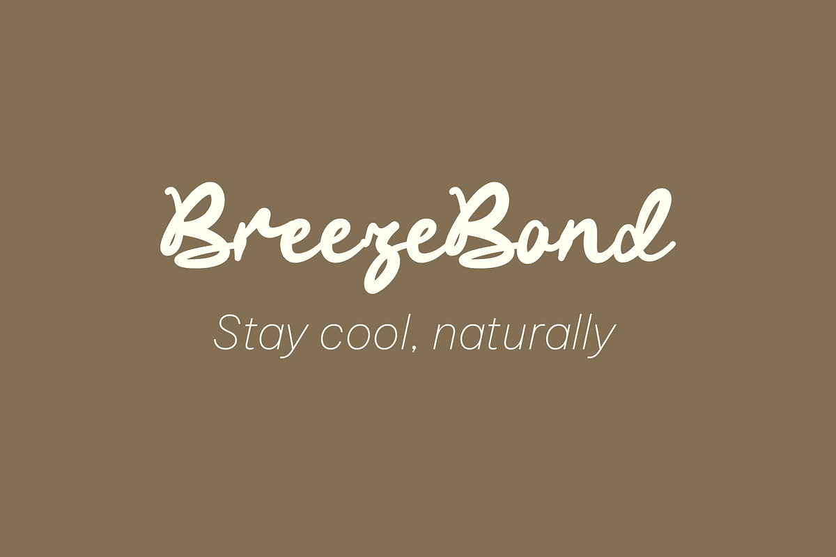 Pillow Script | A Modern Font Family, a Script Font by Fontcastle (Photo 5 of 7)