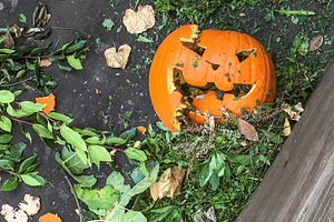 Broken halloween pumpkin, a Holiday Photo by KYNA STUDIO