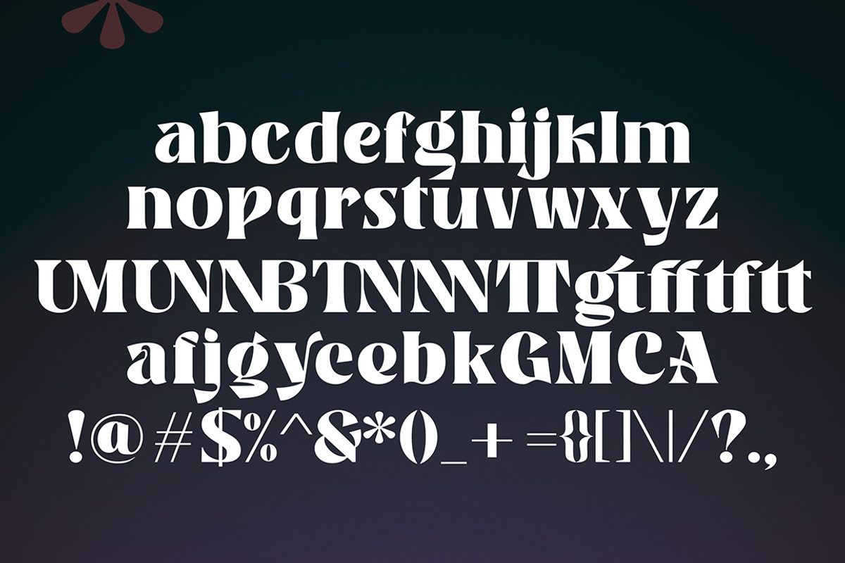 Banner, a Serif Font by Gatype (Photo 10 of 11)