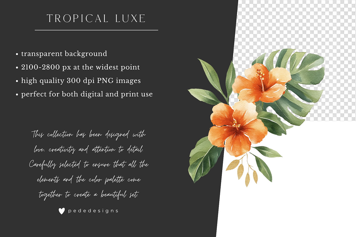 Tropical Luxe Collection, an Illustration by PeDe Designs (Photo 14 of 28)