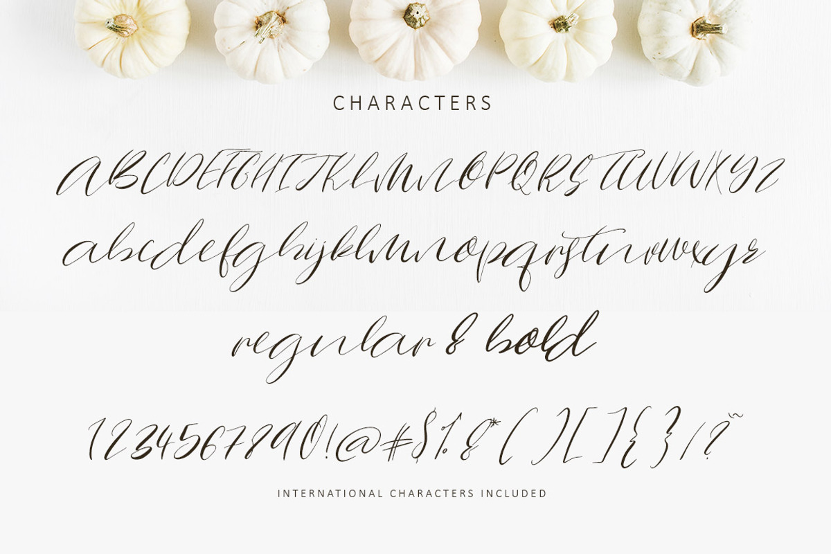 Falling Pumpkins Script Font preview 2
