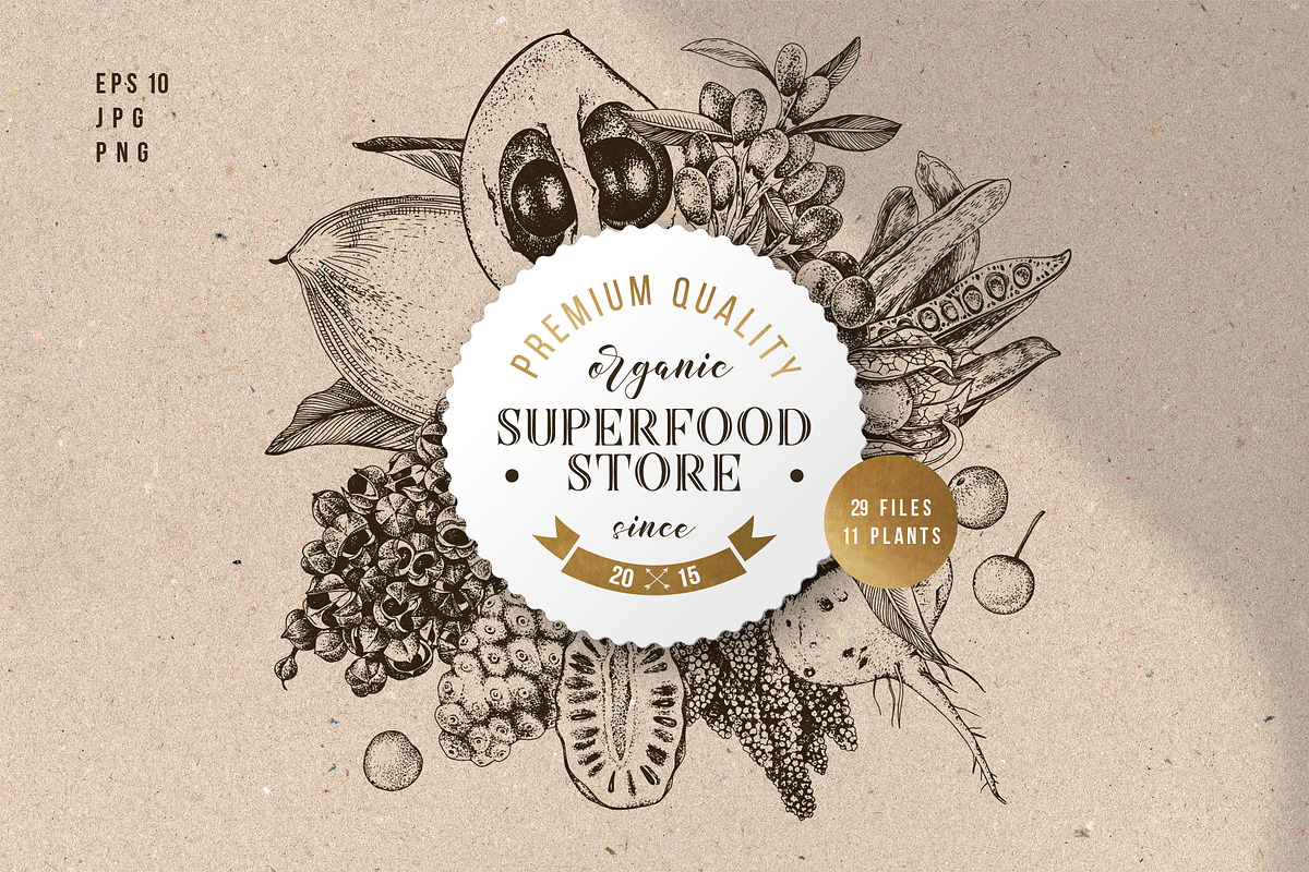 Natural food BUNDLE, a Food Illustration by handsketched (Photo 22 of 26)