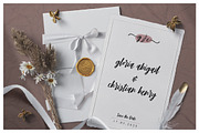 Mirabelle - Modern Script + Extras, a Script Font by Typehand Studio (Thumbnail 2 of 10)