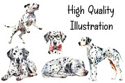 Dalmatians Watercolor Clipart Bundle, an Animal Illustration by Pet Cave (Thumbnail 2 of 3)