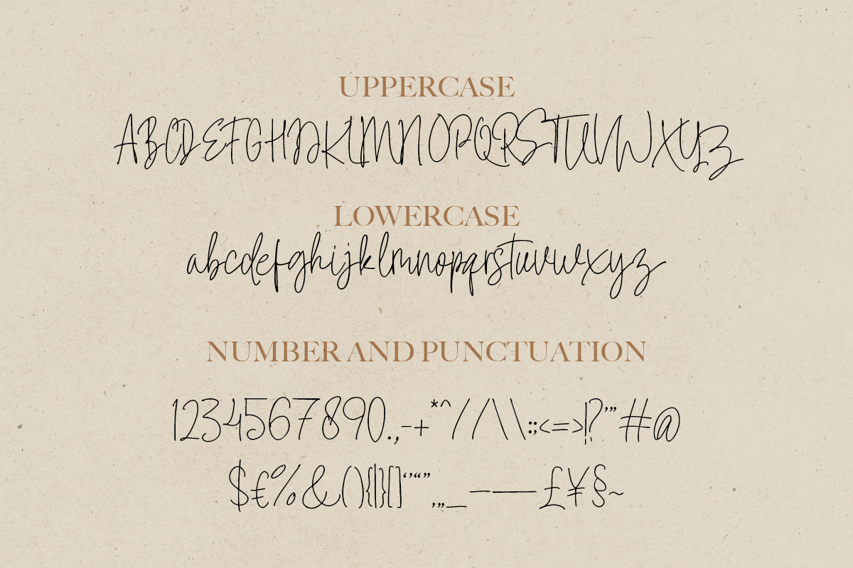 Signatural - Handwritten Font, a Script Font by Bale Type (Photo 6 of 11)