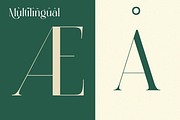 Sesbania - Modern Minimal Branding, a Serif Font by Qweera Studio (Thumbnail 10 of 12)