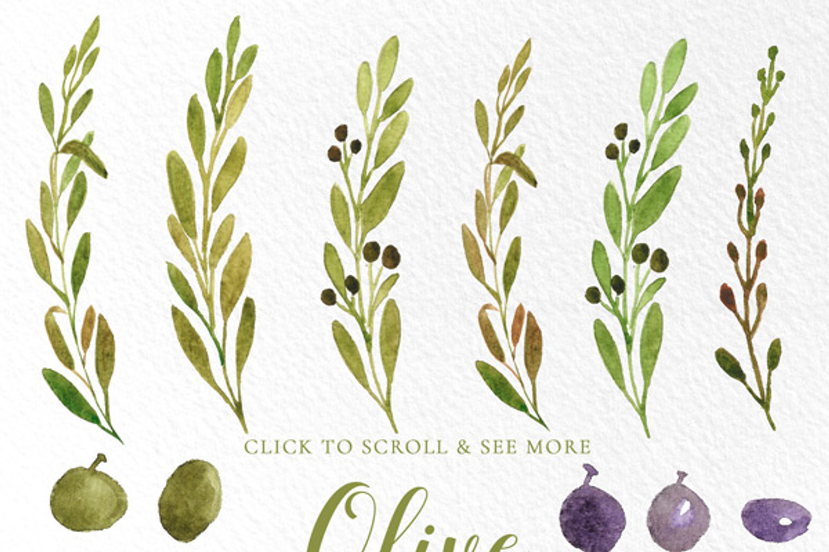 Watercolor Olive Branches and Leaves, an Illustration by Essem Creatives (Photo 2 of 3)
