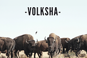 VOLKSHA - Keynote Template, a Presentation Template by Elokka Std. (Thumbnail 2 of 7)