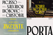 Font Bundle Collection, a Serif Font by Typoraith Co (Thumbnail 4 of 10)