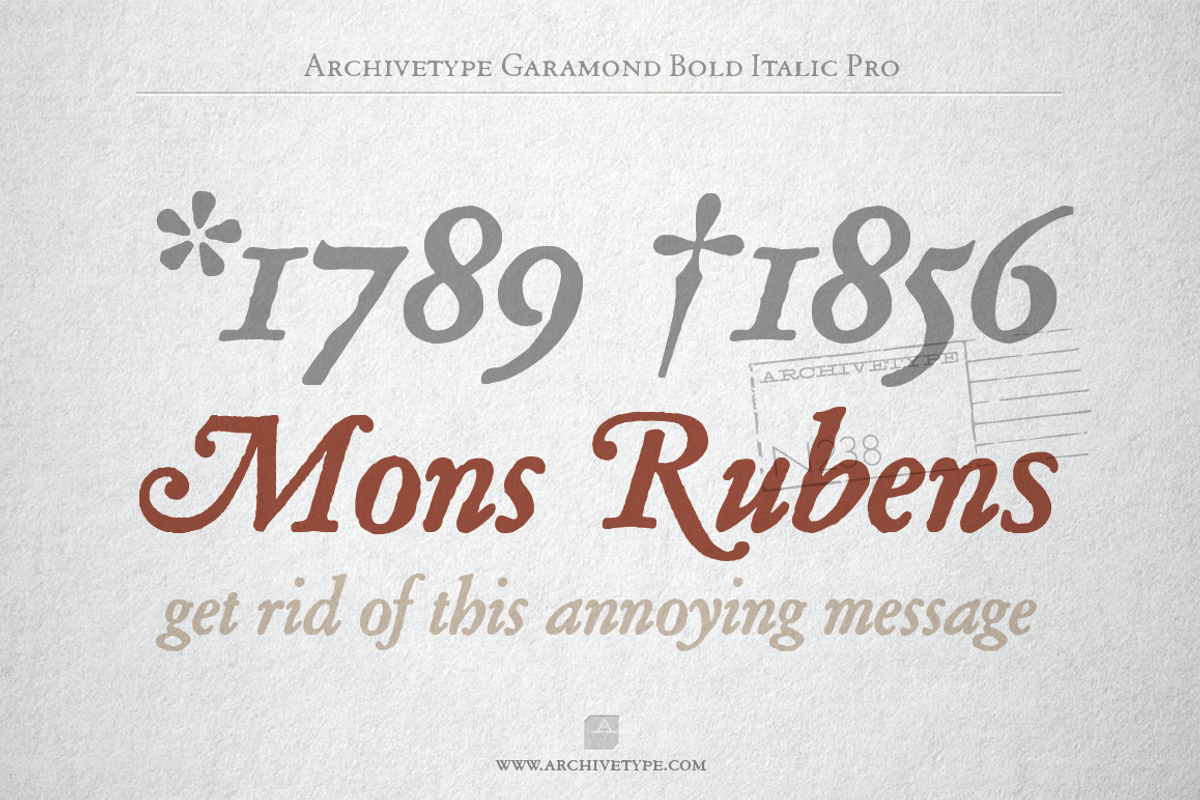 Archive Garamond Bold Italic Pro preview 4
