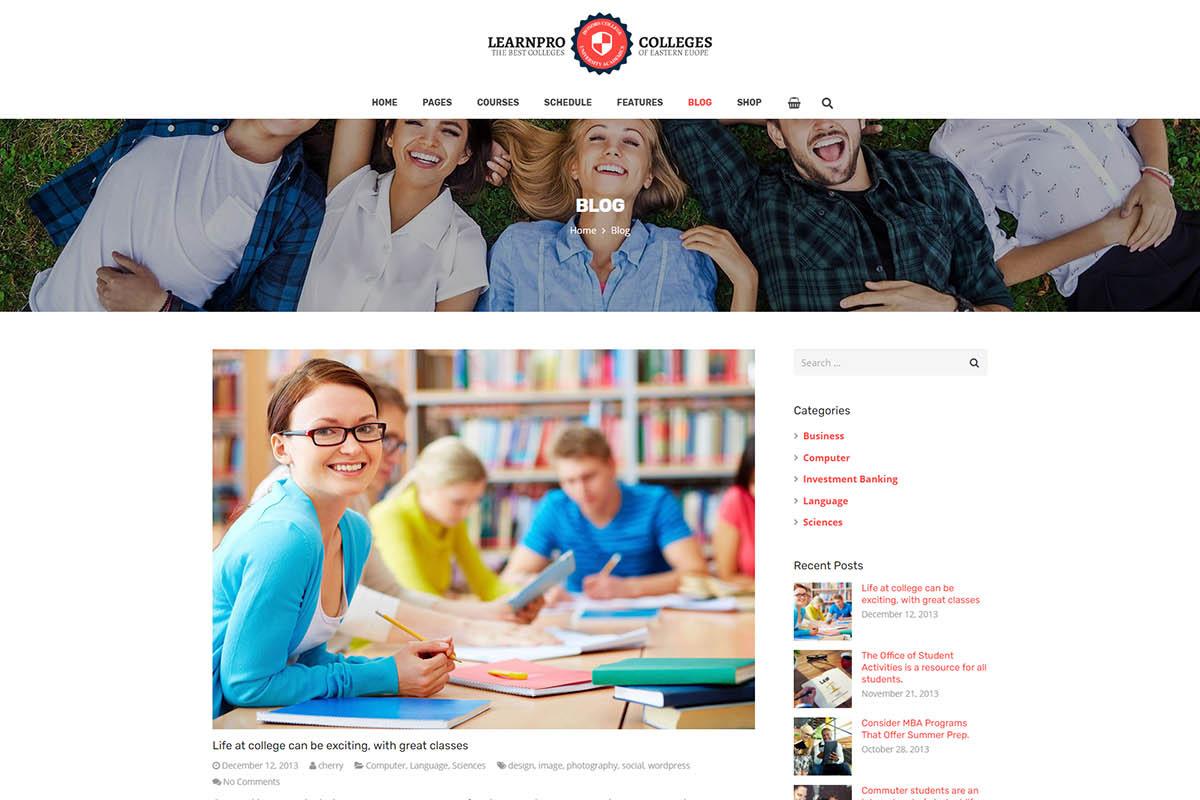 Learnpro - Education & Business, a WordPress Template by Cherry Wordpress Theme (Photo 6 of 7)