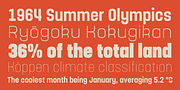 Yoshida Sans, a Sans Serif Font by TypeUnion (Thumbnail 5 of 10)