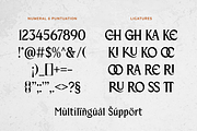 Beiruth - Serif Font, a Serif Font by Sronstudio (Thumbnail 16 of 16)