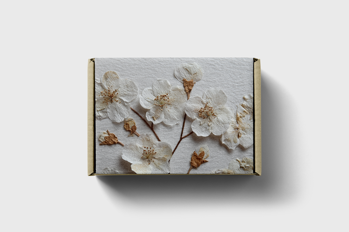 Flower Backgrounds, a Nature Photo by Picturesque Stories (Photo 6 of 7)
