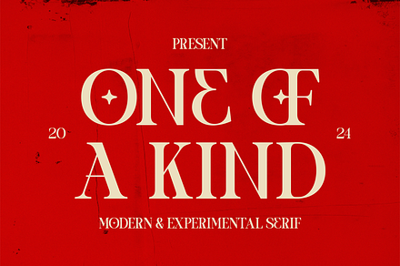 One of a kind | Serif font, a Serif Font by Taboja Studio