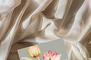 SPRING BOX Watercolor Bundle 400+, a Decorative Illustration by Muse Artist (Thumbnail 5 of 99)