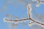 Cosy winter. Bundle of 14 images., a Background Photo by lisa870 (Thumbnail 11 of 17)